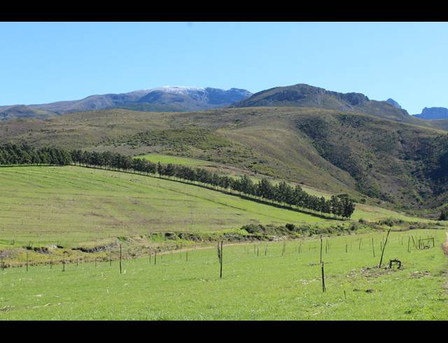 118HA FARM FOR SALE IN GREYTON